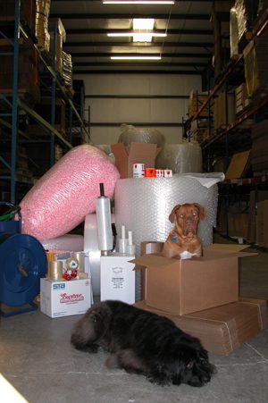 Warehouse packing supplies with two dogs